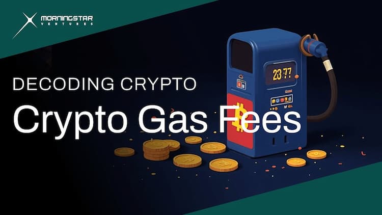 What Are Crypto Gas Fees?