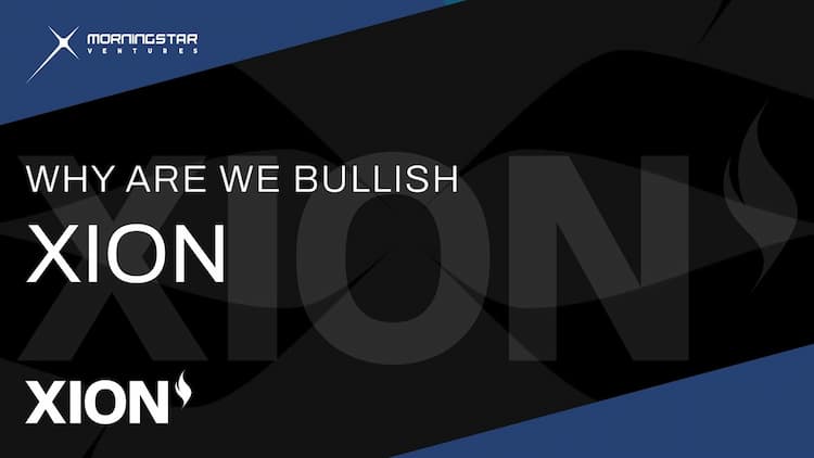 Why Are We Bullish About XION