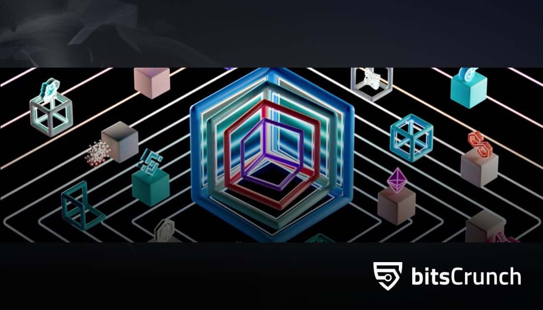 bitsCrunch: AI-enhanced Decentralized NFT Data Network