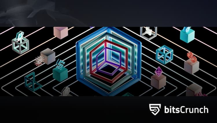 bitsCrunch: AI-enhanced Decentralized NFT Data Network