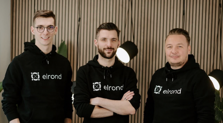 Elrond acquires payments firm Twispay.
